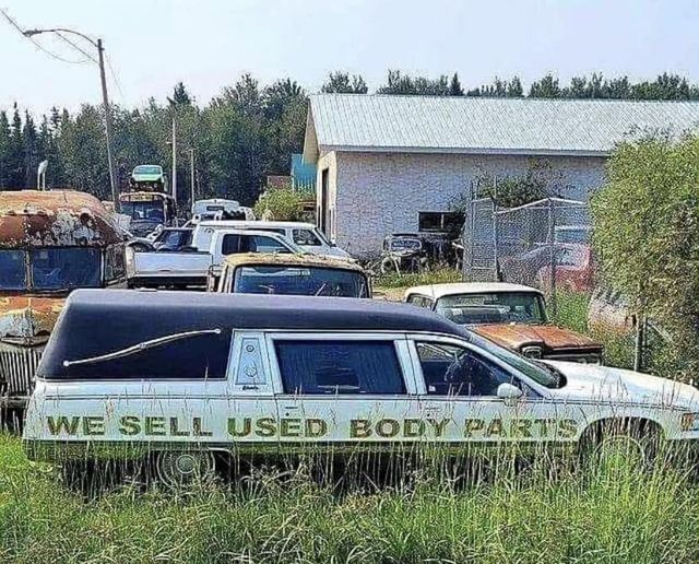 Buyers Paradise