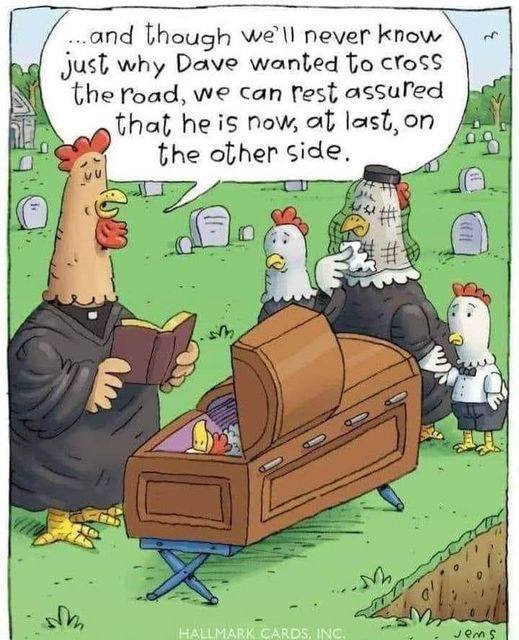 Why did Dave want to cross the road?