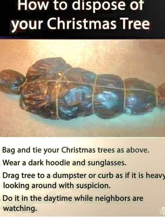 How to dispose of a Christmas tree